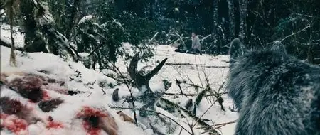 The Grey (2011)