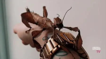 Bug Out S01E01