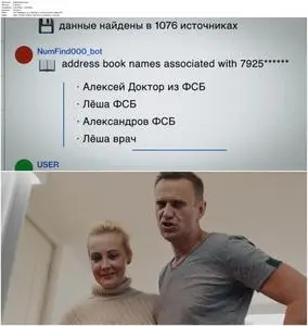 Navalny (2022)