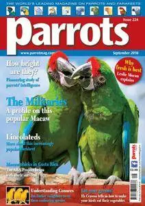 Parrots - September 2016