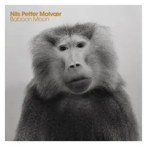 Nils Petter Molvaer – Baboon Moon (2011) {Thirsty Ear}