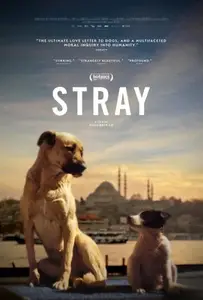 Magnolia Pictures - Stray (2020)