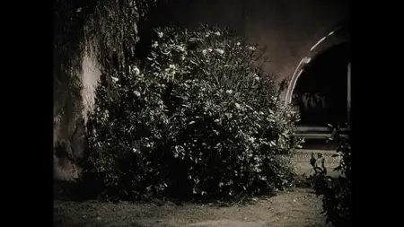 The Mark of Zorro (1940)