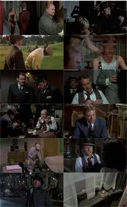 The Sting (1973)