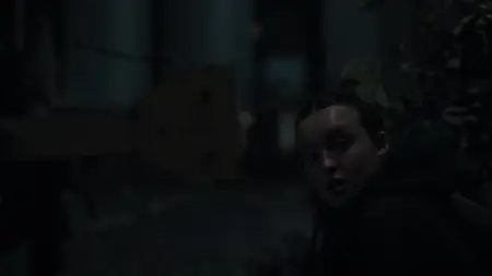 The Last of Us S02E05