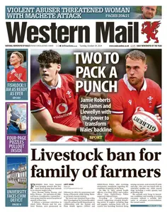 Western Mail - 29 October 2024