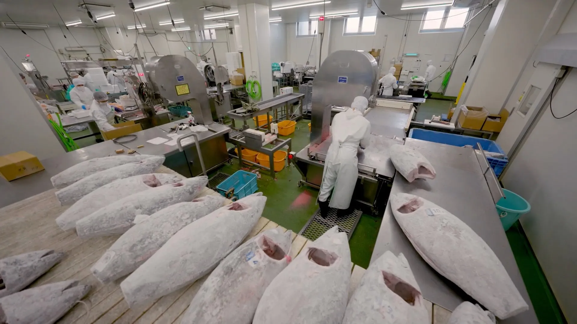 Premium Rush: Inside Air Cargo Singapore (2024)