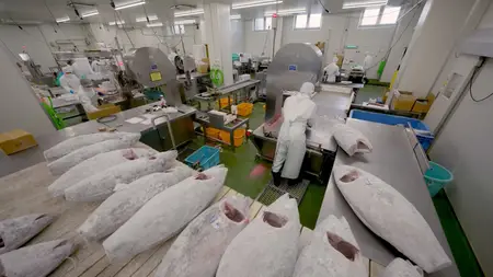 Premium Rush: Inside Air Cargo Singapore (2024)