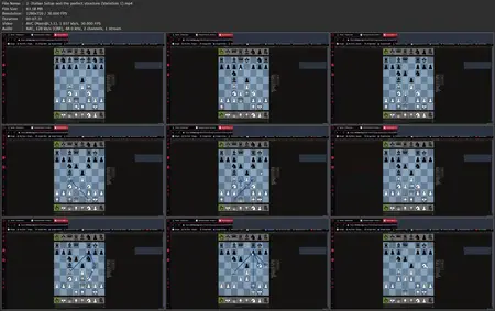 Chess for Beginners: Openings, Middlegames and Plan Making