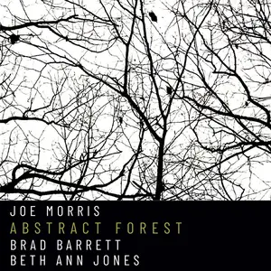 Joe Morris, Brad Barrett & Beth Ann Jones - Abstract Forest (2025) [Official Digital Download 24/96]