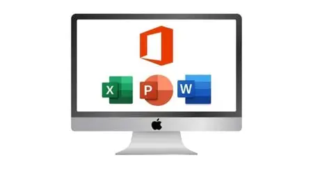 Beginner To Advanced Course - Ms Word And Excel Training