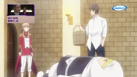 D Gray-man - 008 (ANIMAX Asia 1920x1080 H264 MP2