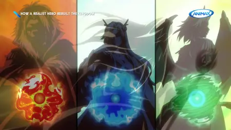 D Gray-man - 008 (ANIMAX Asia 1920x1080 H264 MP2