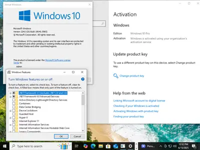Windows 10 Pro 22H2 build 19045.5965 With Office 2024 Pro Plus (x64) Multilingual Preactivated June 2025