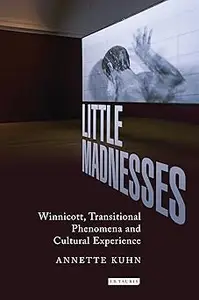 Little Madnesses: Winnicott, Transitional Phenomena and Cultural Experience