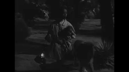 Driftwood (1947)