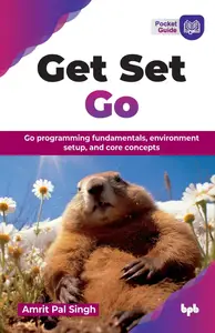 Get Set Go: Go programming fundamentals, environment setup, and core concepts
