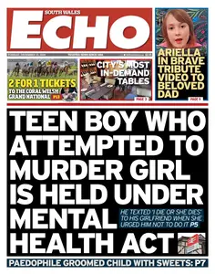 South Wales Echo - 10 December 2024