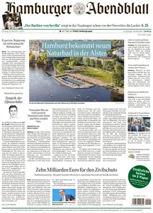 Hamburger Abendblatt - 19 Mai 2026
