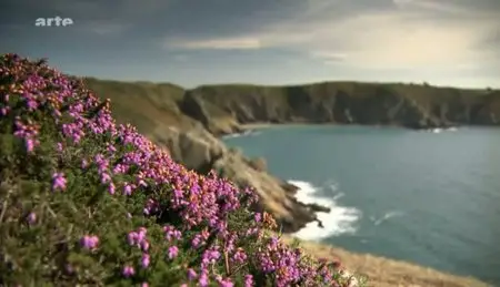 (Arte) Sercq, îlot sauvage de la Manche (2011)