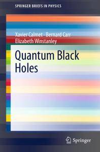 Quantum Black Holes (Repost)