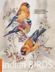 Indian Birds - April 18, 2016