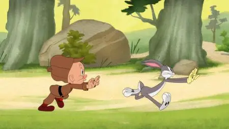 Looney Tunes Cartoons S05E14