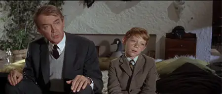 Dear Brigitte (1965) RE-UP