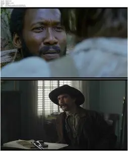 Free State of Jones (2016)