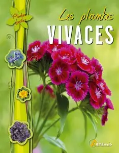 Les plantes vivaces