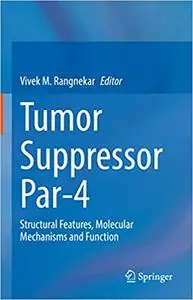 Tumor Suppressor Par-4: Structural Features, Molecular Mechanisms and Function
