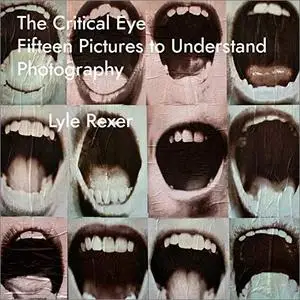 The Critical Eye: Fifteen Pictures to Understand Photography