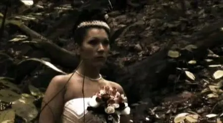 Silver Cell (2011)
