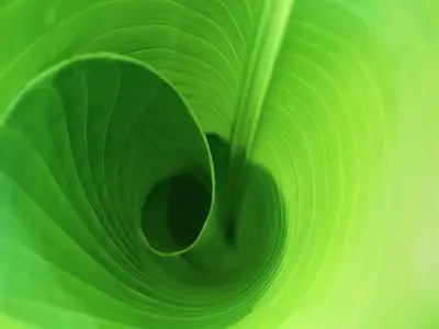 Green_Nature_Wallpaper_Part4