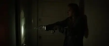 Bound to Vengeance (2015)