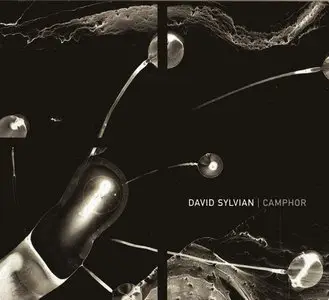 David Sylvian  - Camphor (2002) (2xCD. Limited Edtion)