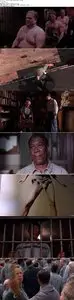 The Shawshank Redemption (1994)