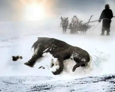 National Geographic Waking the Baby Mammoth