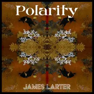 James Larter - Polarity (2022) [Official Digital Download]