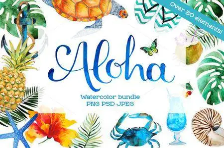 CreativeMarket - Aloha - watercolor bundle