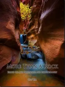 More Than a Rock: Essays on Art, Landscape, and Photography