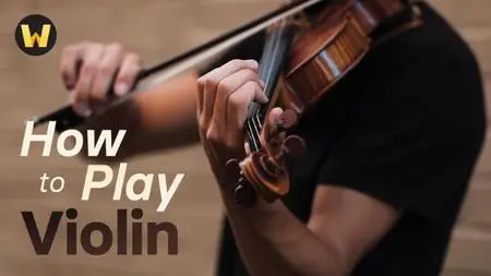 TTC Video - How to Play the Violin