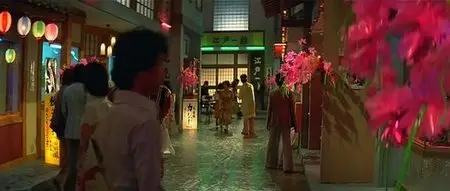 Game Of Death II (1981)