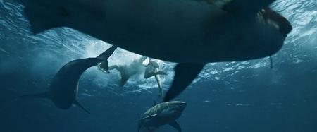 Kon-Tiki (2012)