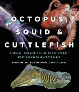 Octopus, Squid, and Cuttlefish: A Visual, Scientific Guide to the Oceans’ Most Advanced Invertebrates