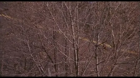 Coogan's Bluff (1968)