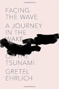 Facing the Wave: A Journey in the Wake of the Tsunami