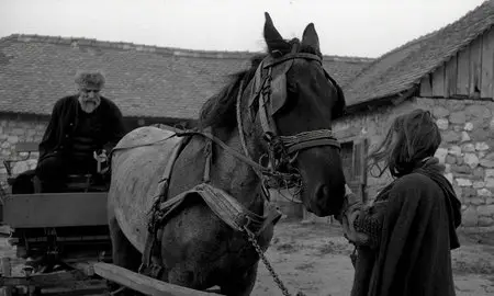 The Turin Horse (2011)