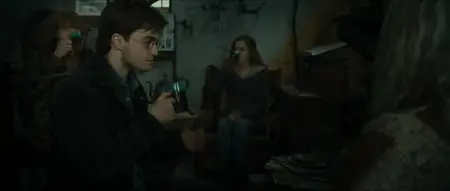 Harry Potter et les reliques de la mort – partie 1 (2010) (Re-post)