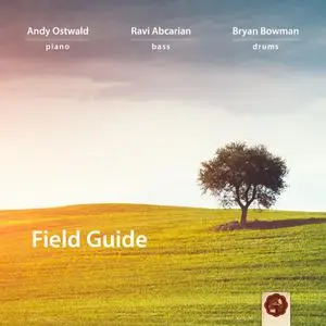 Andy Ostwald Trio - Field Guide (2022)